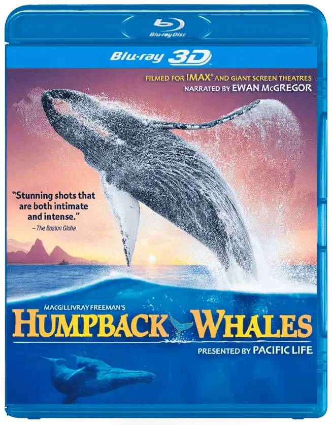 Humpback Whales 3D SBS 2015